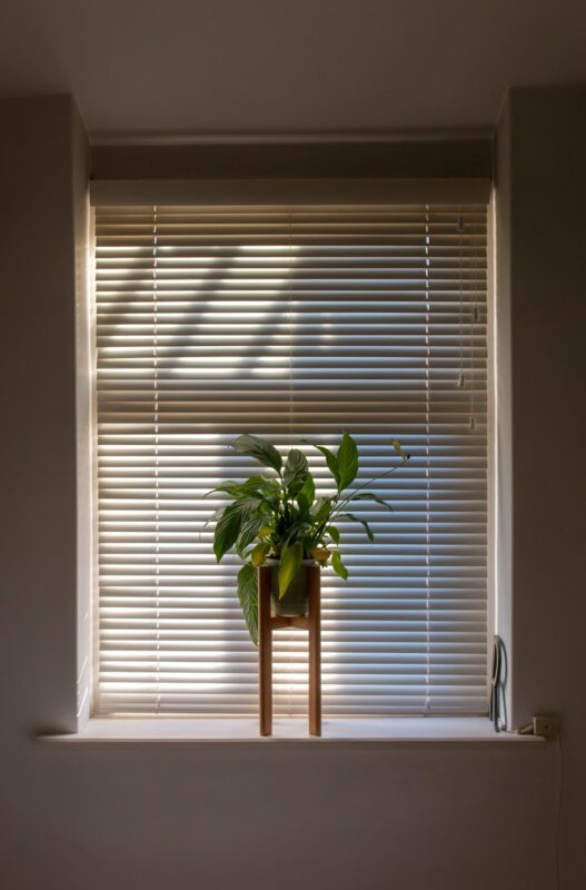 50mm Wooden Venetian Blinds